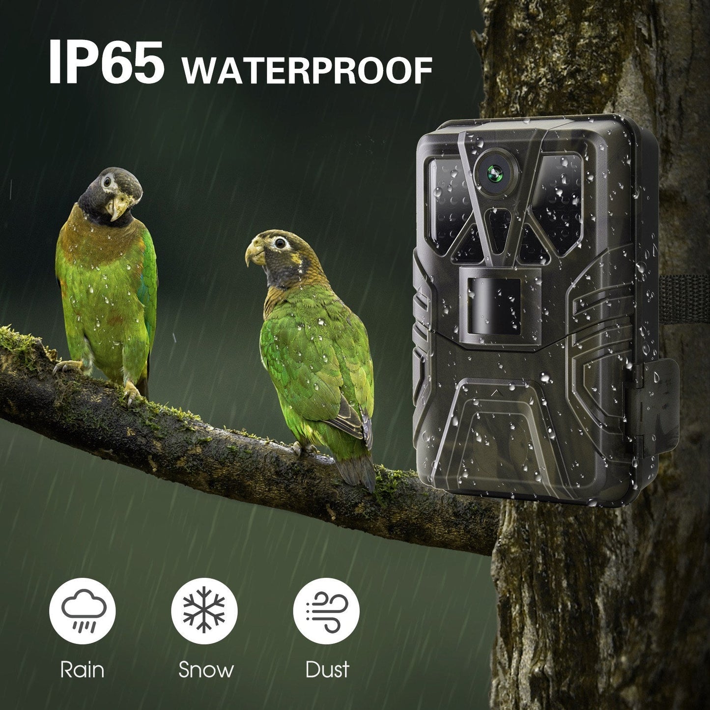 4K WLAN Trail-Kamera 36MP, App-gesteuerte Jagdkamera mit 20m Nachtsicht, 120° PIR-Erkennung, IP65 wasserdicht, verbesserter 5MP Sensor