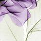 Frendorf | Ein lila Rosen Wandkunst