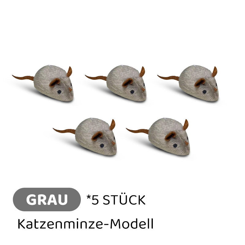 Frendorf |  CatPlay – Jagen, spielen, juchzen – der Spaß für deine Katze!