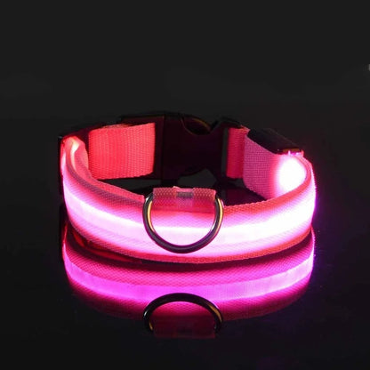 Frendorf | BrightPaws LED Leine und Leuchthalsband | Sicherheitsset für Hunde | Sichtbarkeit & Stil
