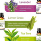 Set Of 12 Pure Essential Oils Gift Set