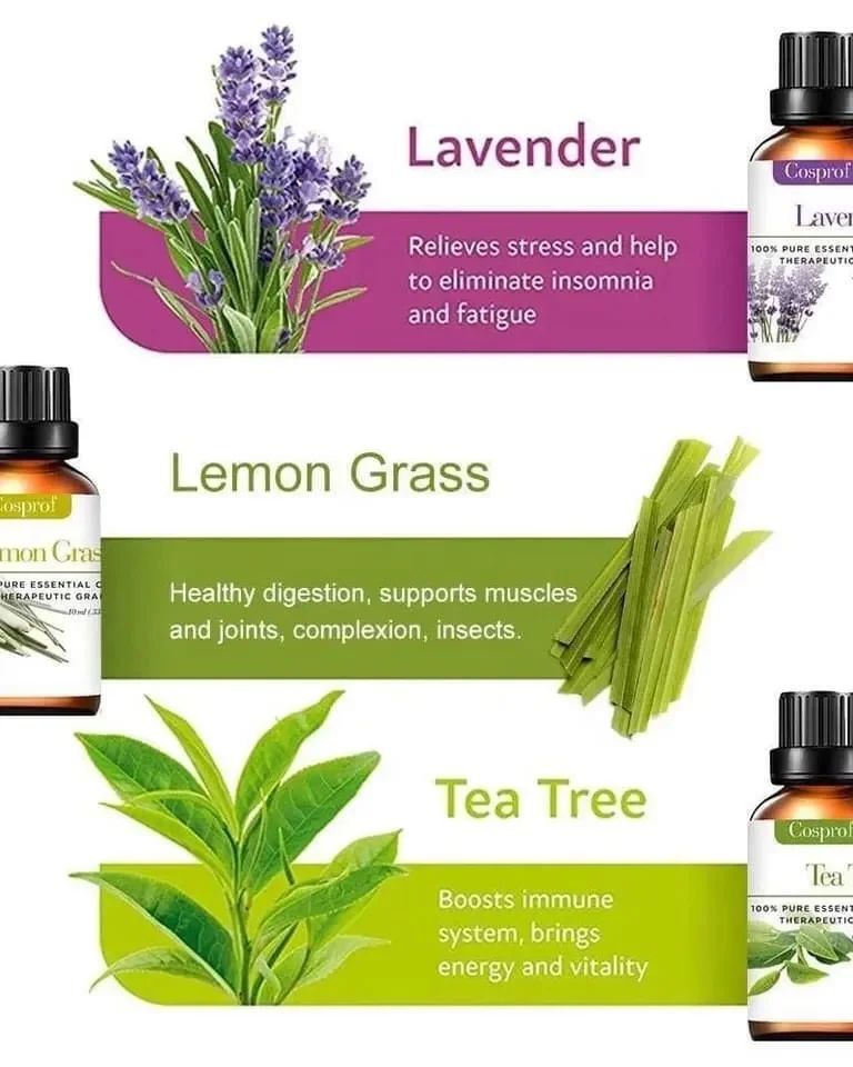 Set Of 12 Pure Essential Oils Gift Set