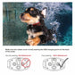 Frendorf | 2 in 1 Hundetraining Halsband & Anti-Bell Halsband