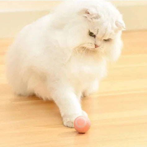 Frendorf | 2 in 1 Simuliertes Interaktives Jagdspielzeug für Katzen