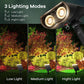Frendorf | 2 in 1 Solar Spotlight (2 Packs)