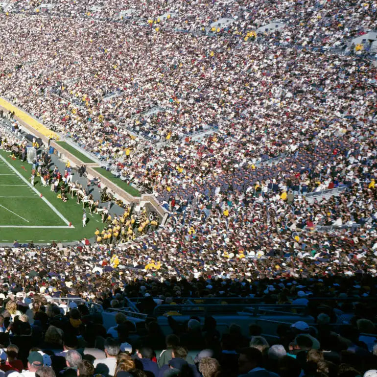 Frendorf | Luftaufnahme von Notre Dame Stadion Wandkunst