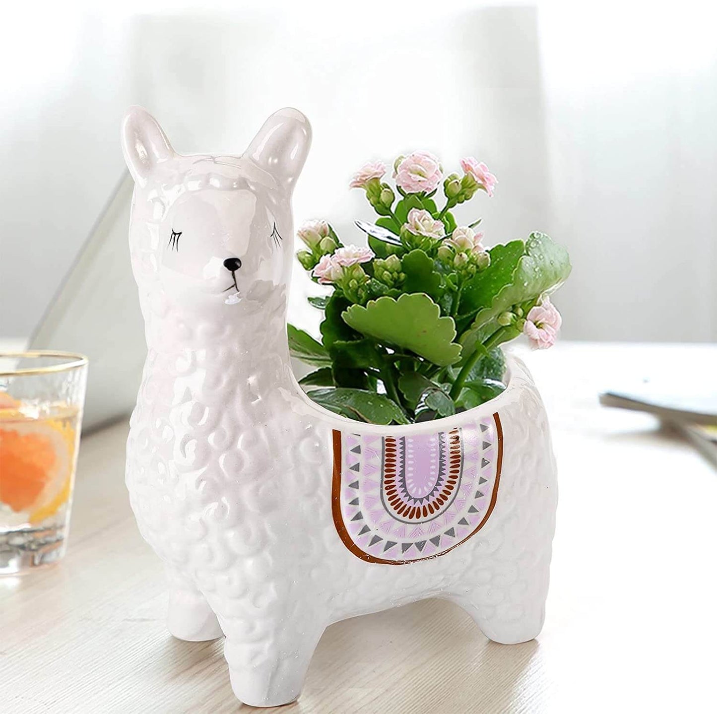 Frendorf | AlpacaSprout - Schöner Alpaka-Sukkulenttopf für dein Zimmer