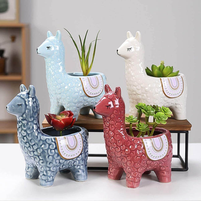 Frendorf | AlpacaSprout - Schöner Alpaka-Sukkulenttopf für dein Zimmer