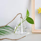 Frendorf | GlasLuxe 3-teiliges Set Glas-Hänge-Terrarienvasen | Elegante Pflanzenhalter | Deko für Zuhause