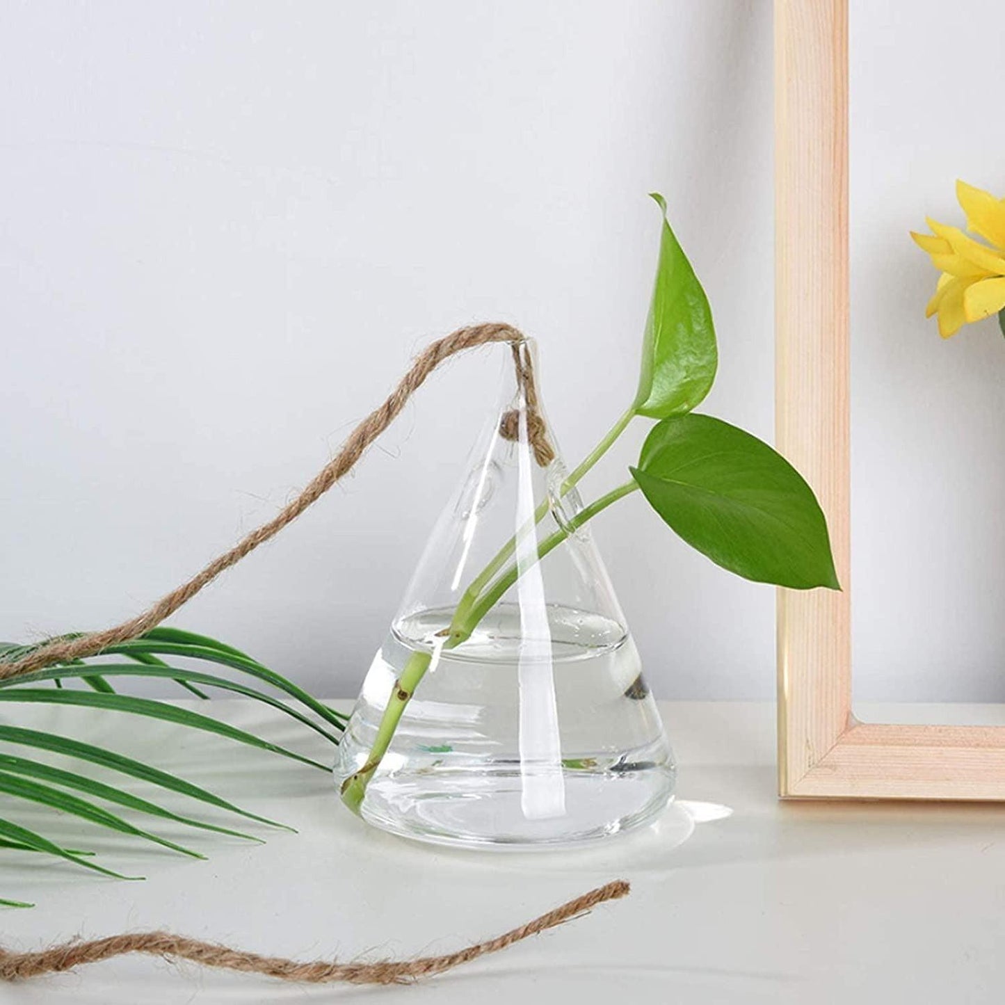 Frendorf | GlasLuxe 3-teiliges Set Glas-Hänge-Terrarienvasen | Elegante Pflanzenhalter | Deko für Zuhause