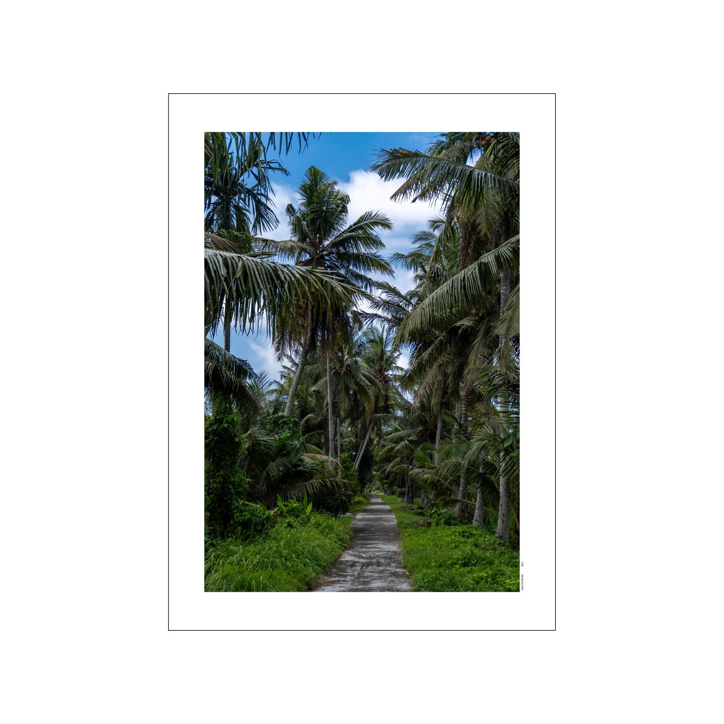 Bali Jungle Road