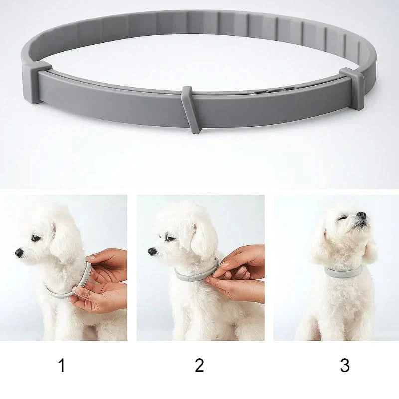 Frendorf | FLASHIELD COLLAR – Pflanzliches Floh- & Zeckenschutz-Halsband für Hunde & Katzen