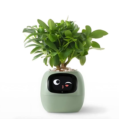 Frendorf | Automatischer smarter Blumentopf - GreenBuddy SmartPot