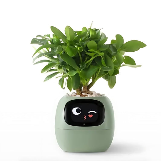 Frendorf | Automatischer smarter Blumentopf - GreenBuddy SmartPot