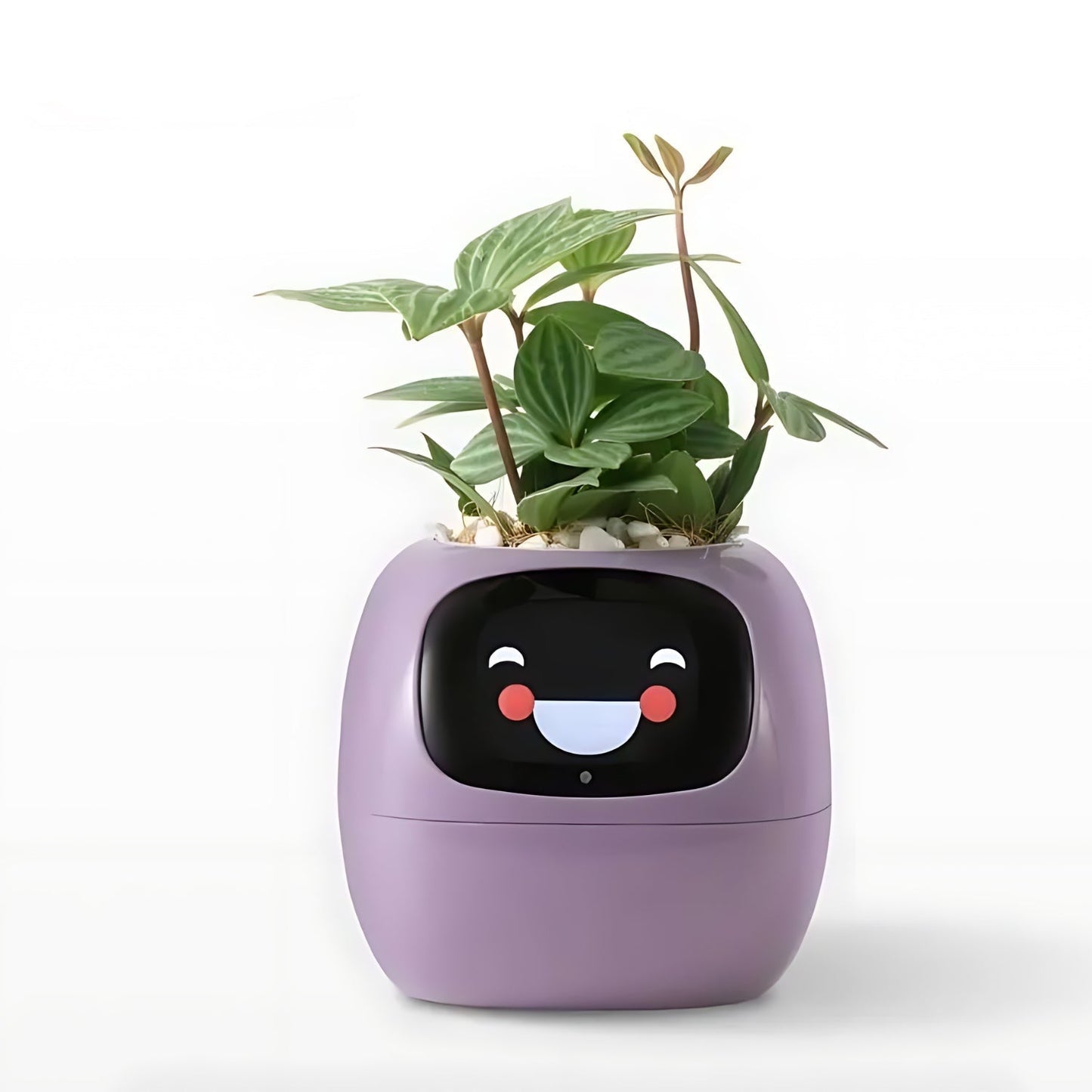 Frendorf | Automatischer smarter Blumentopf - GreenBuddy SmartPot
