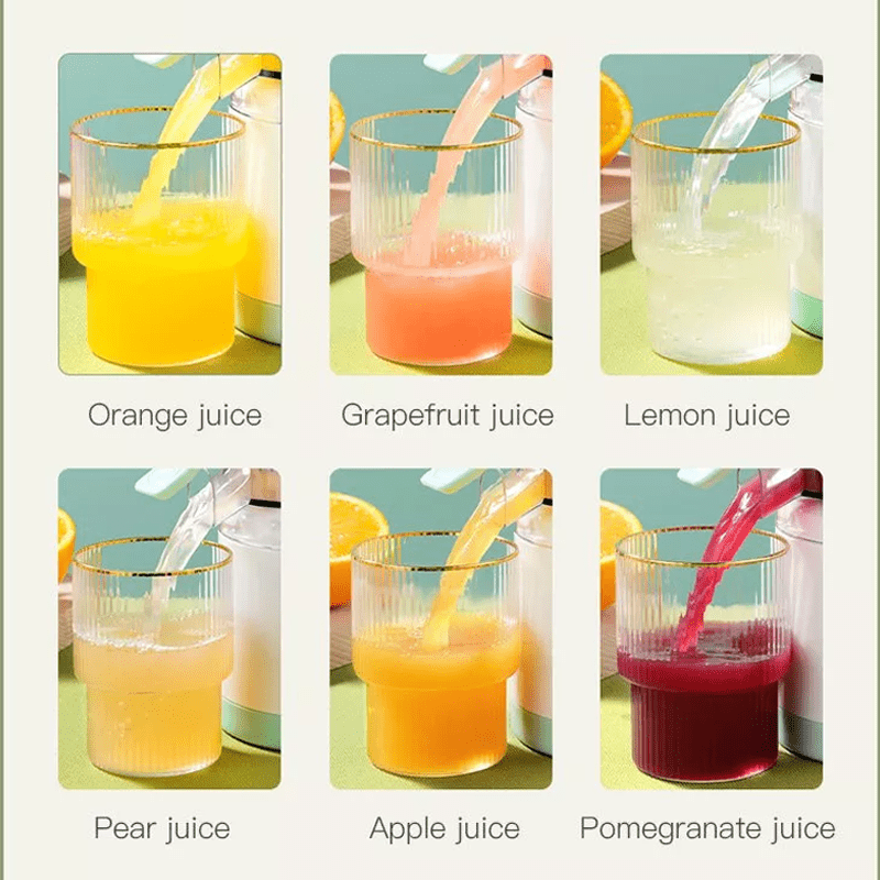 Frendorf | Automatischer Haushalts-Elektroentsafter