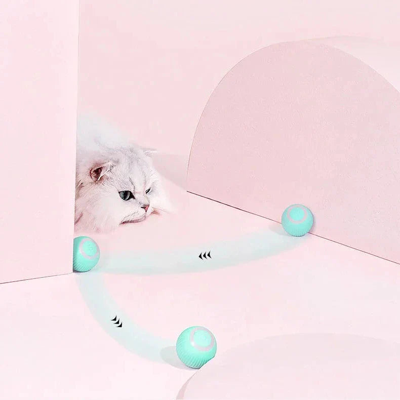 Frendorf | 2 in 1 Simuliertes Interaktives Jagdspielzeug für Katzen