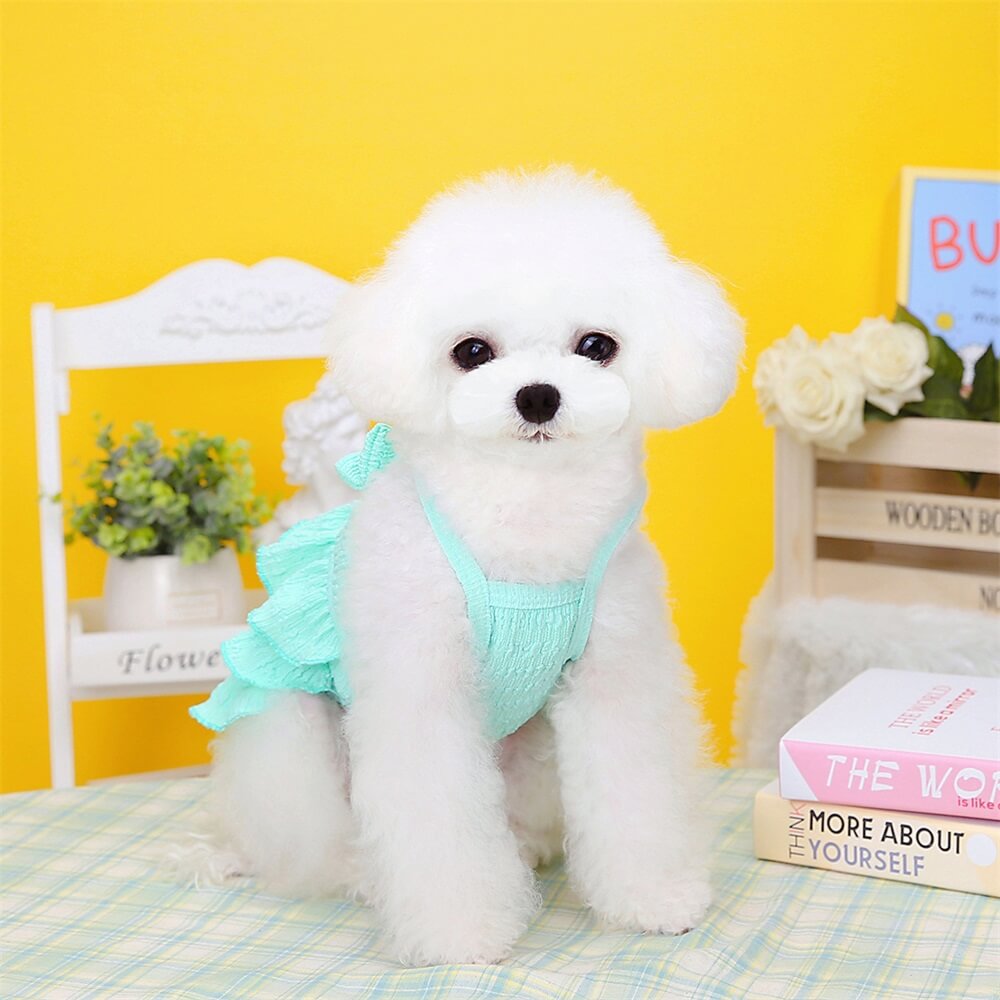 Adorable Rüschhundekleid mit Schleife - Perfekt für Sommerausflüge