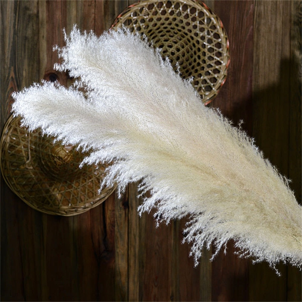 Pampas Getrocknete Blumen