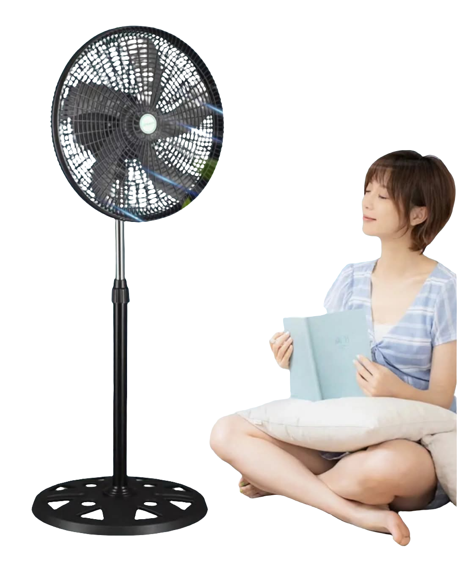 Frendorf | Stehventilatoren