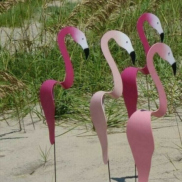 Frendorf | Wirbelnder Flamingo im Garten