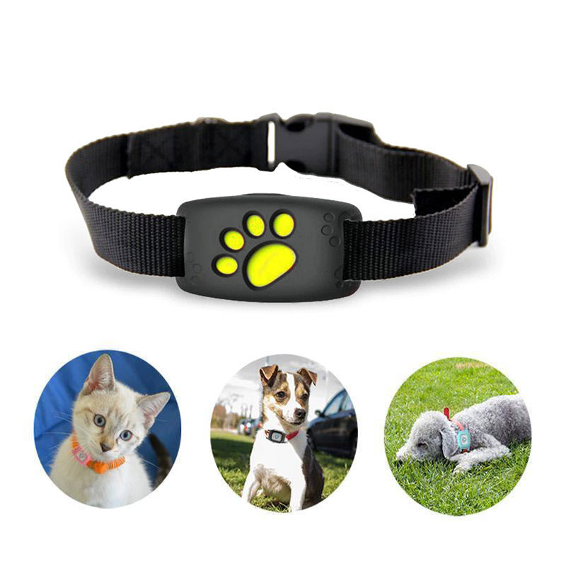 Frendorf | Schlankes GPS Katzenhalsband