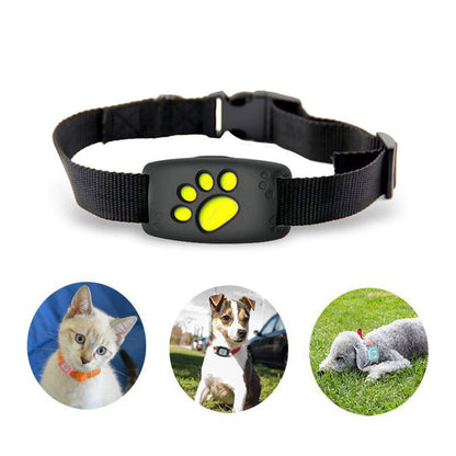 Frendorf | Schlankes GPS Katzenhalsband