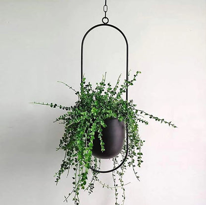 Frendorf | FLORA | Luxuriöse Pflanzenhänger | Elegantes Design für drinnen und draußen