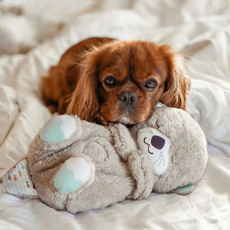 Frendorf | Beruhigendes Atemotter-Spielzeug mit Musik und Lichtern