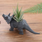 Heller & Bunter Dinosaurier Sukkulente Blumentopf