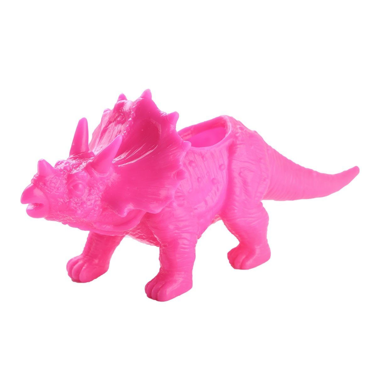 Heller & Bunter Dinosaurier Sukkulente Blumentopf