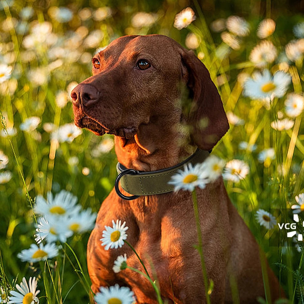 Frendorf | StrongPaw Halsband für große Hunde | Robust | Verstellbar | Komfortabel | Hochwertige Materialien
