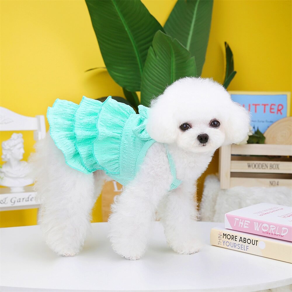 Adorable Rüschhundekleid mit Schleife - Perfekt für Sommerausflüge