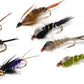Frendorf | 24/36/40 Lieblings Fliegenfischen Fliegen Sortiment | Trocken, Nass, Nymphen, Streamer, Wooly Buggers, Caddis | Forelle, Barsch Angelköder Set, Kit