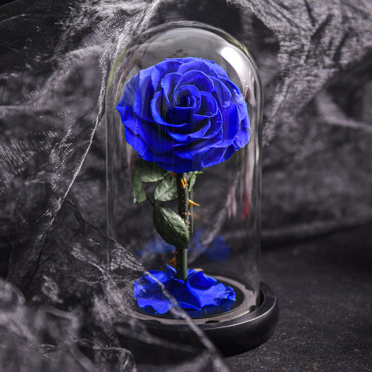 Forever Rose, Immerwährende Rose in Glaskuppel, 3 Tage Lieferzeit, Blau