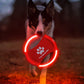 Frendorf | Hundesport Frisbee.