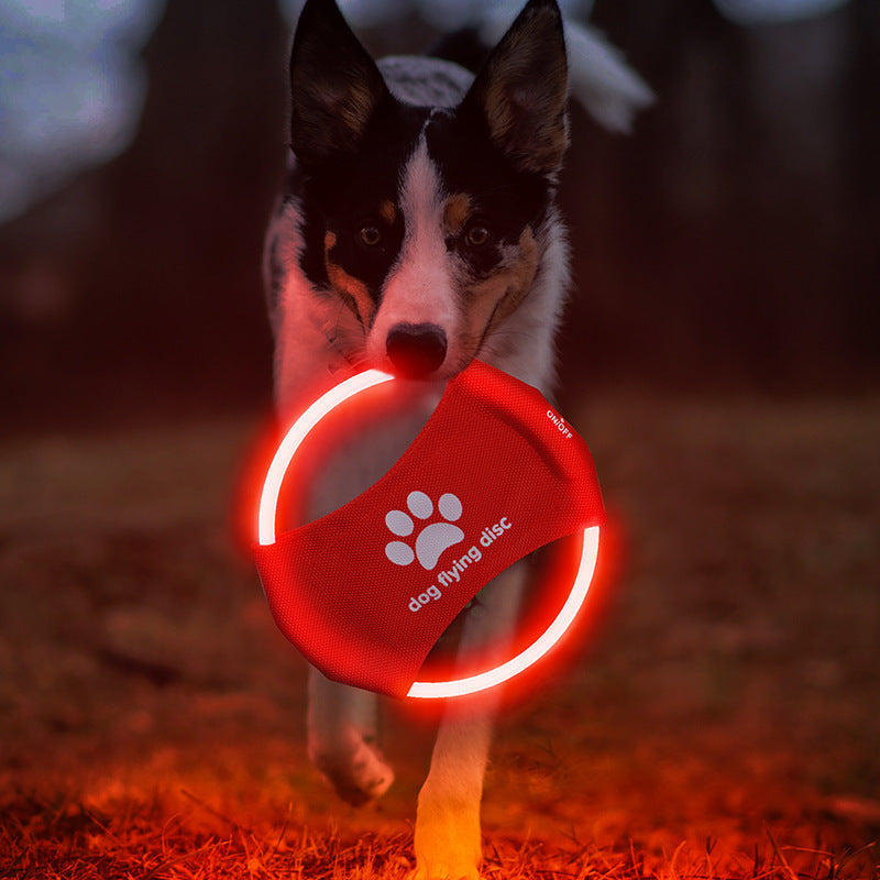 Frendorf | Hundesport Frisbee.