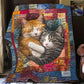 Gemütliche Katzendecke