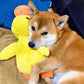 Frendorf | CalmBuddy Beruhigungsente für Hunde | Stressabbau | Spielzeug mit beruhigendem Duft | Hunde-Wohlbefinden