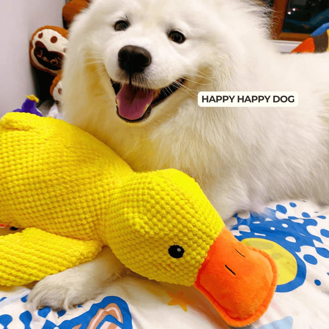 Frendorf | CalmBuddy Beruhigungsente für Hunde | Stressabbau | Spielzeug mit beruhigendem Duft | Hunde-Wohlbefinden