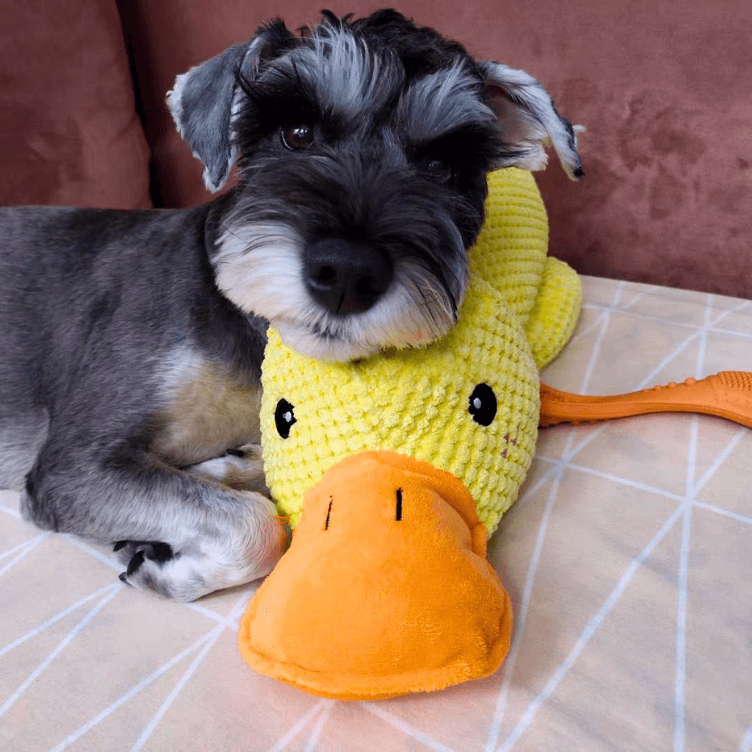 Frendorf | CalmBuddy Beruhigungsente für Hunde | Stressabbau | Spielzeug mit beruhigendem Duft | Hunde-Wohlbefinden