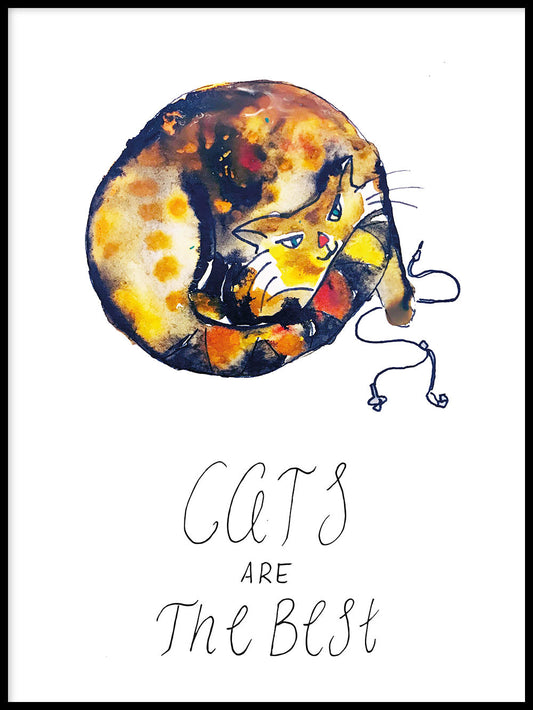 Katzen sind die besten