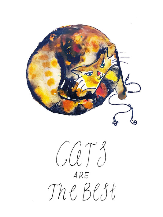 Katzen sind die besten