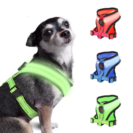 LED wiederaufladbares Haustier Hundegeschirr