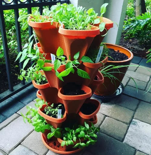 Vertikaler Garten - PlantStack - Platzsparend - Grüne Rasterlösung