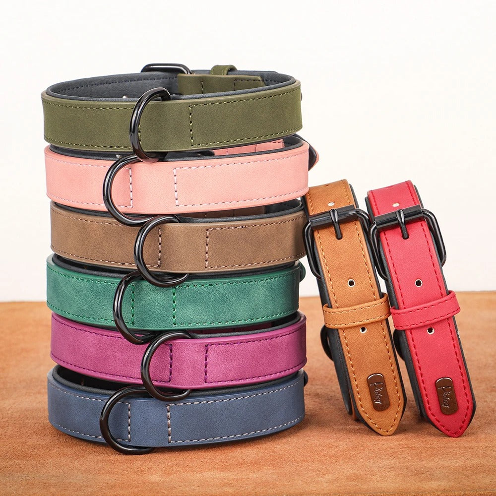 Frendorf | StrongPaw Halsband für große Hunde | Robust | Verstellbar | Komfortabel | Hochwertige Materialien