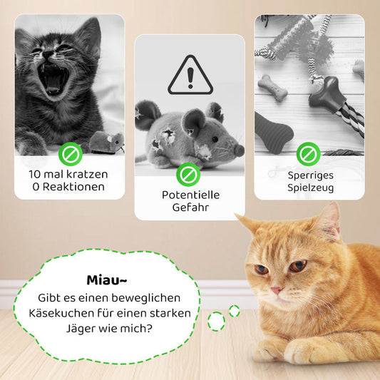 Frendorf |  CatPlay – Jagen, spielen, juchzen – der Spaß für deine Katze!