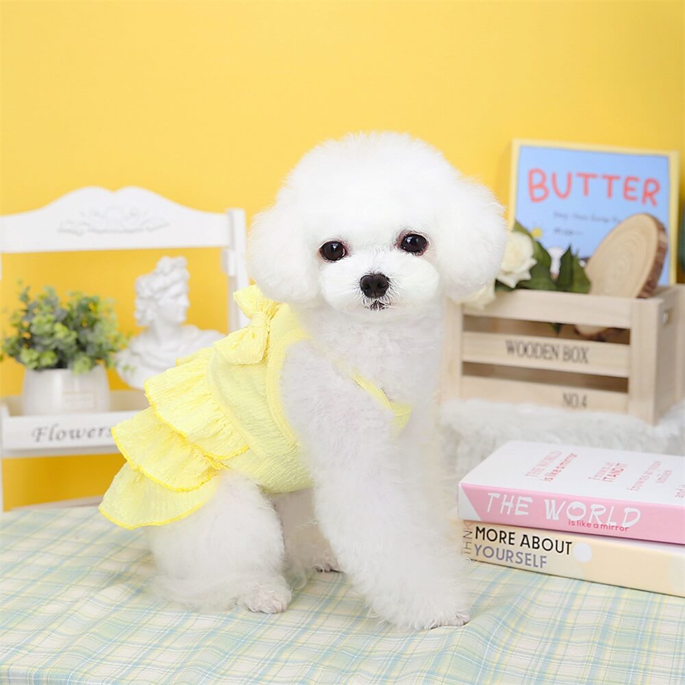 Adorable Rüschhundekleid mit Schleife - Perfekt für Sommerausflüge