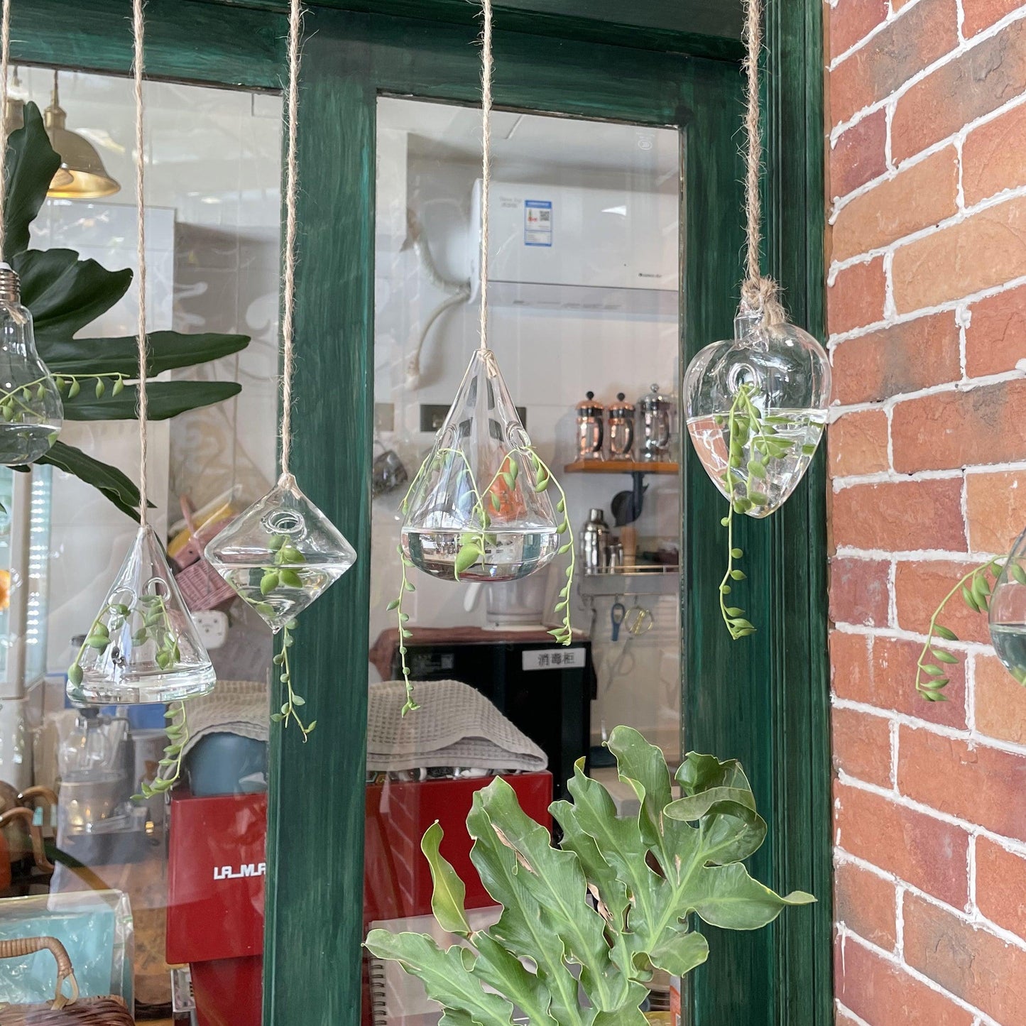 Frendorf | GlasLuxe 3-teiliges Set Glas-Hänge-Terrarienvasen | Elegante Pflanzenhalter | Deko für Zuhause
