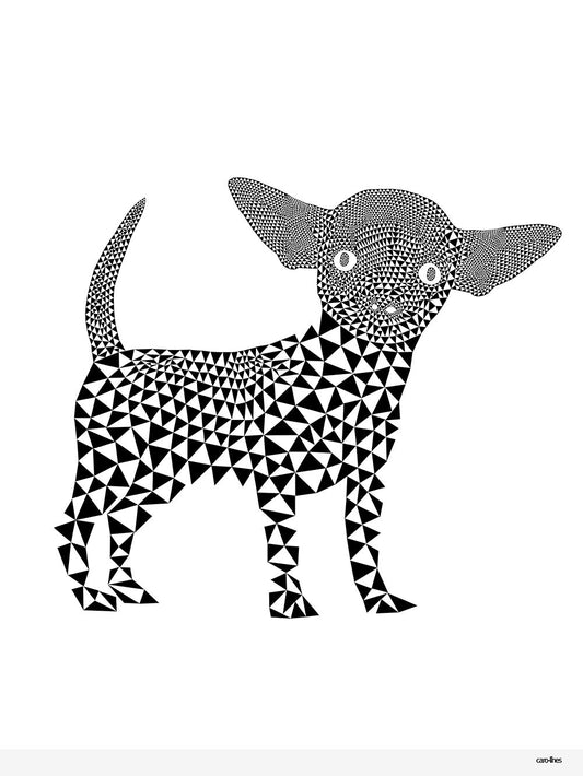 Chihuahua